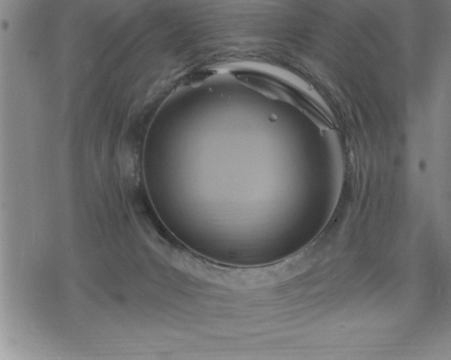 X0000075830031200609221651