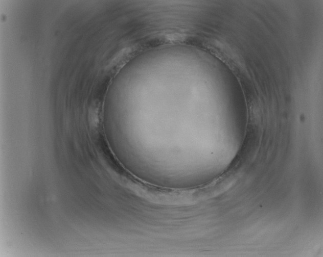 X0000075830032200609221651