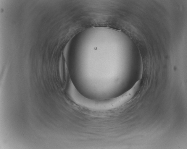 X0000075830033200609221651