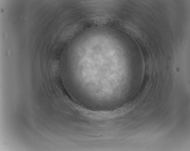 X0000075830034200609221651