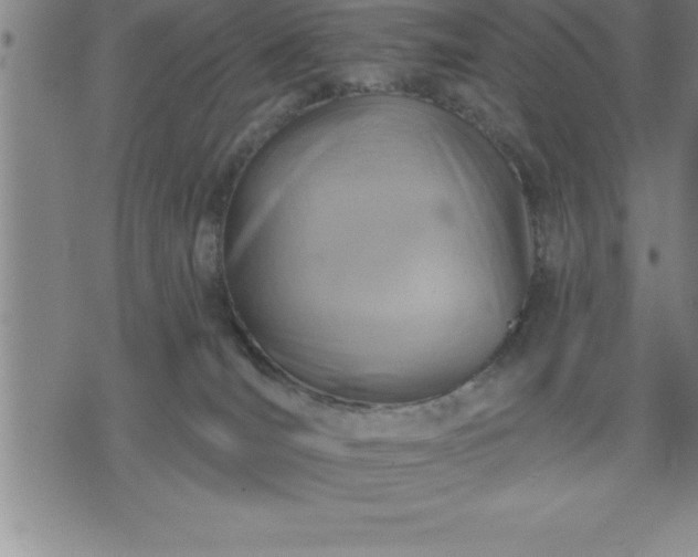 X0000075830036200609221651