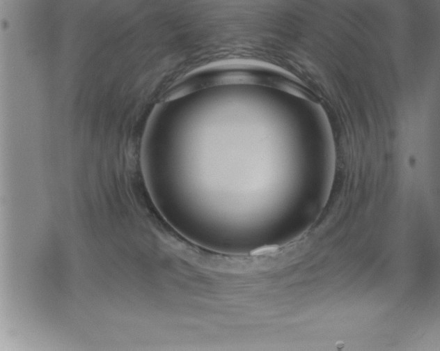 X0000075830037200609221651