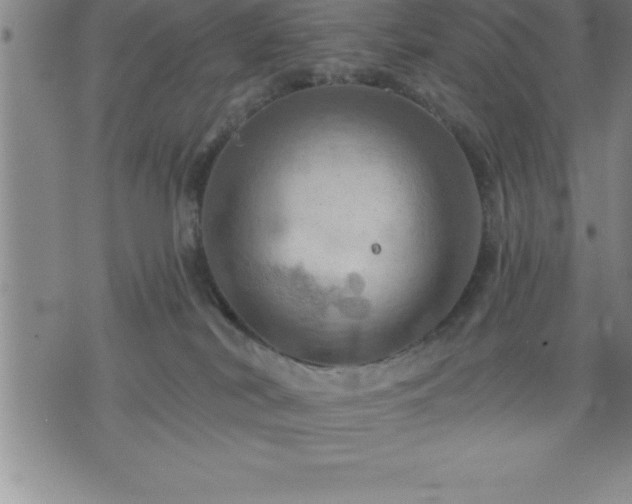 X0000075830038200609221651