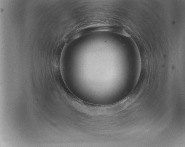 X0000075830040200609221651