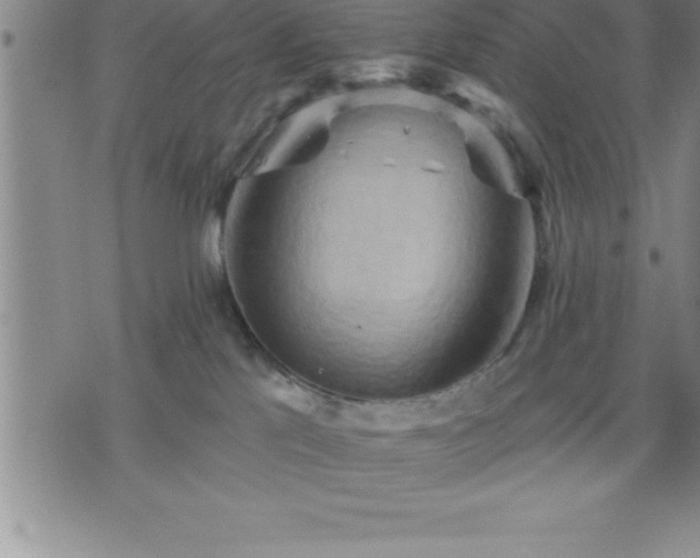 X0000075830041200609221651