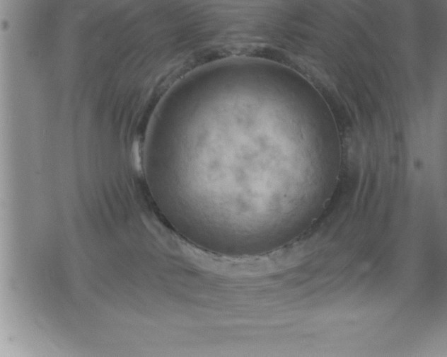 X0000075830042200609221651