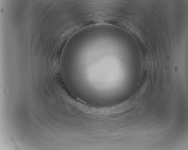 X0000075830043200609221651