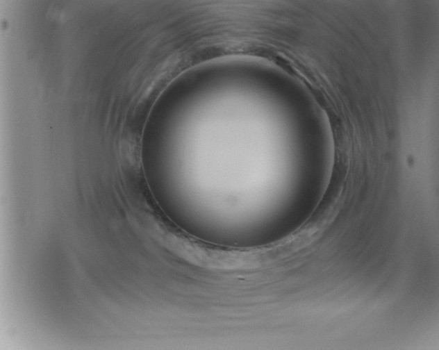 X0000075830044200609221651