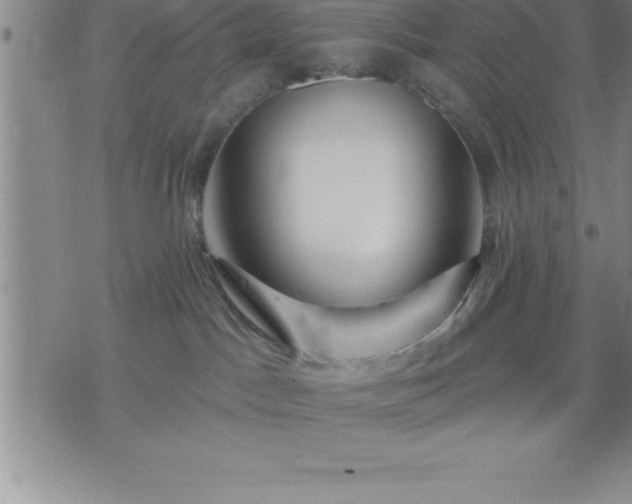 X0000075830045200609221651