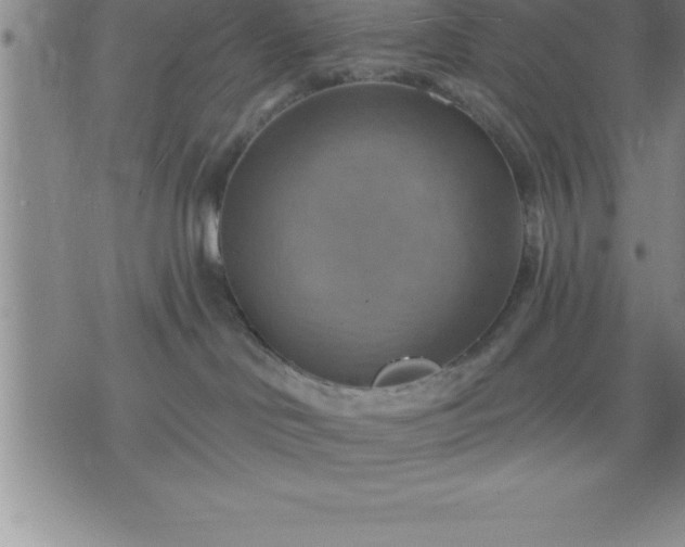 X0000075830046200609221651