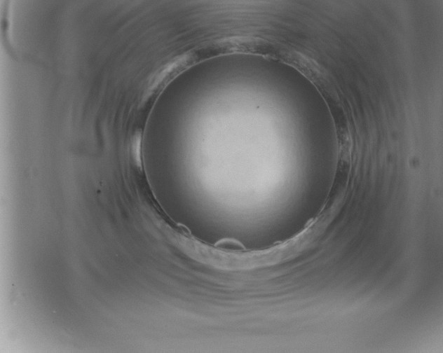 X0000075830047200609221651