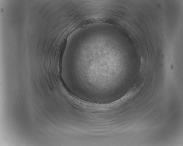 X0000075830048200609221651