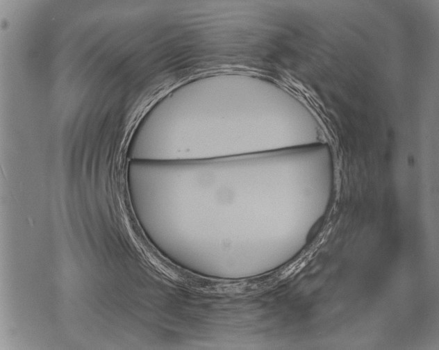 X0000075830049200609221650