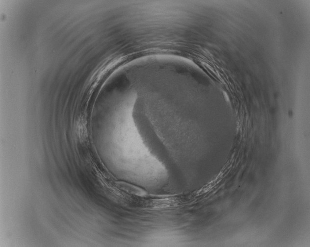 X0000075830050200609221650