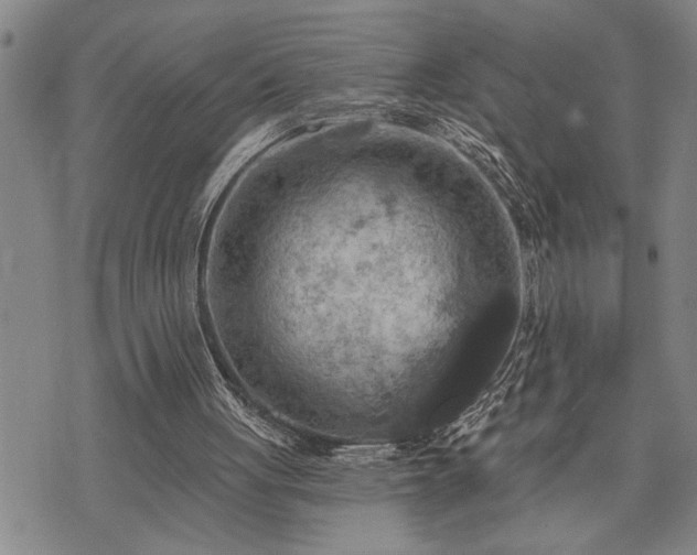 X0000075830051200609221650