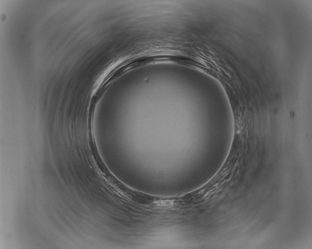 X0000075830052200609221650