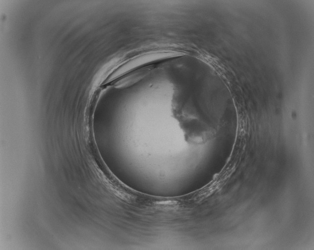 X0000075830053200609221650