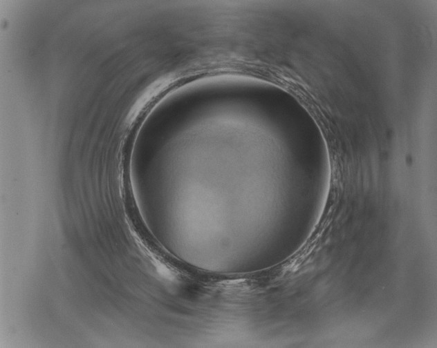 X0000075830054200609221650