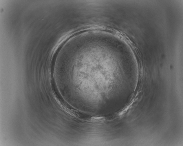 X0000075830055200609221650