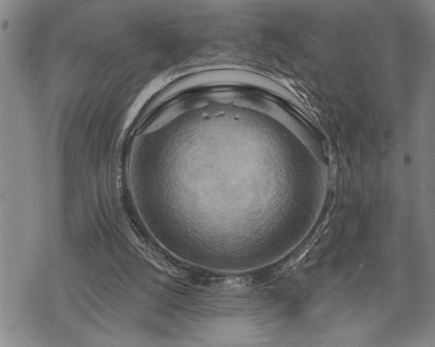 X0000075830056200609221650