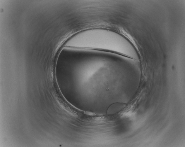 X0000075830059200609221650