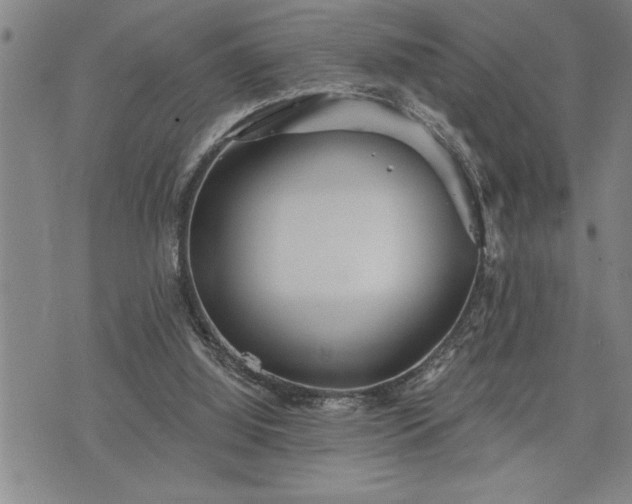 X0000075830060200609221650