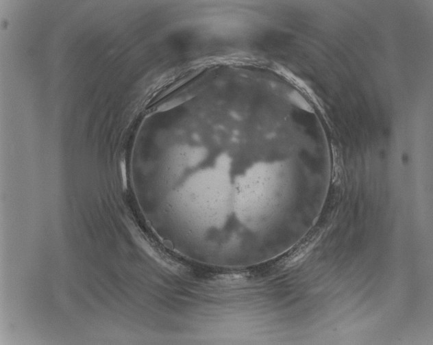 X0000075830061200609221650