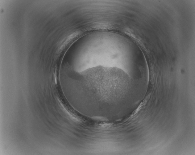 X0000075830062200609221650