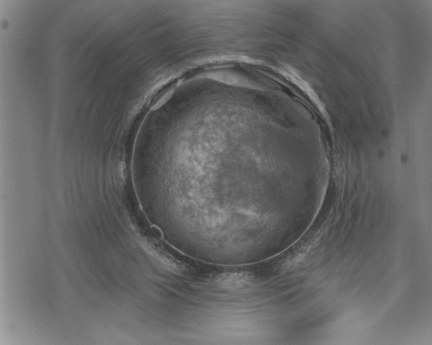 X0000075830063200609221650