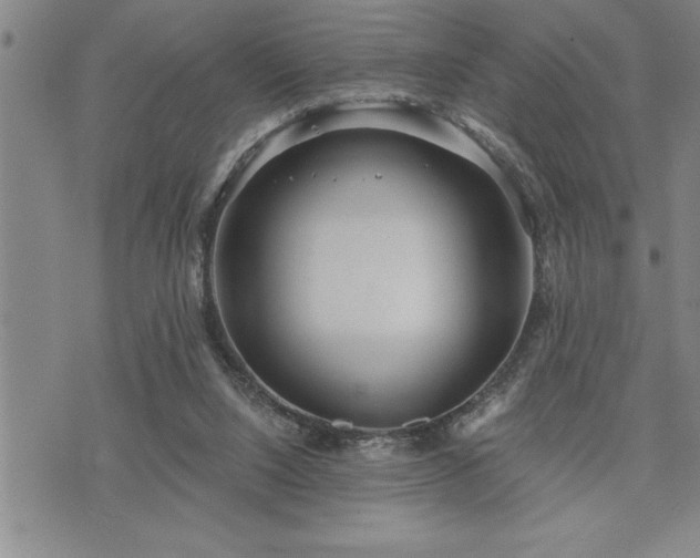 X0000075830064200609221650