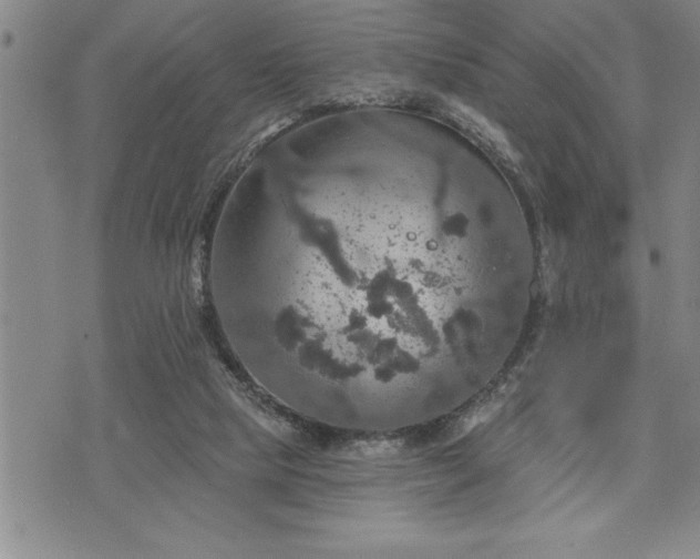 X0000075830065200609221650