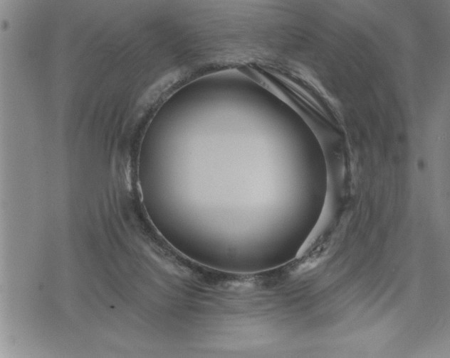 X0000075830068200609221650