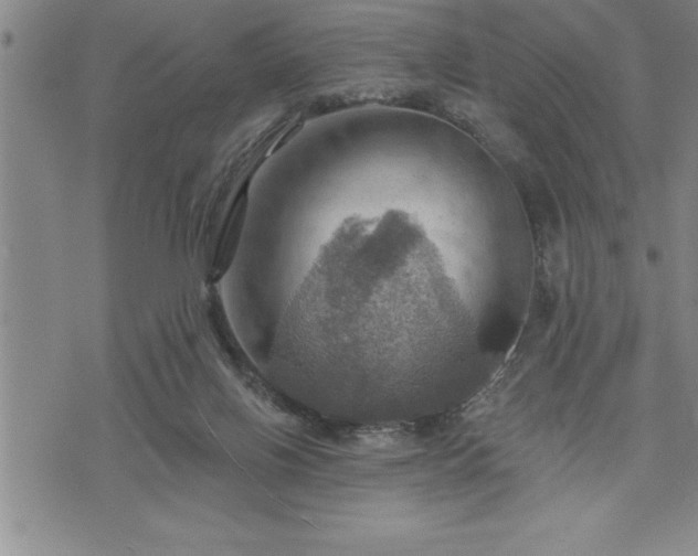 X0000075830070200609221650