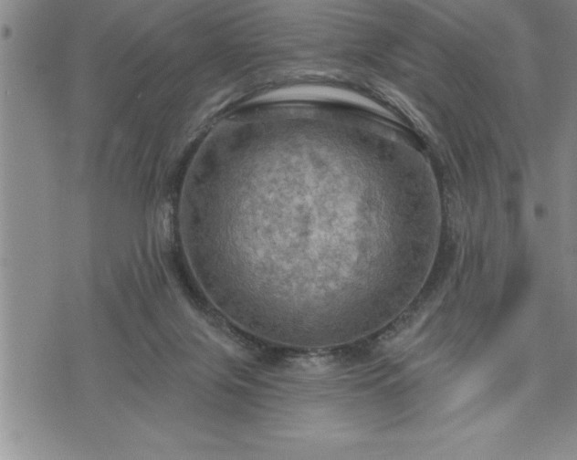 X0000075830071200609221650