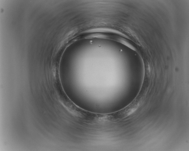 X0000075830072200609221650