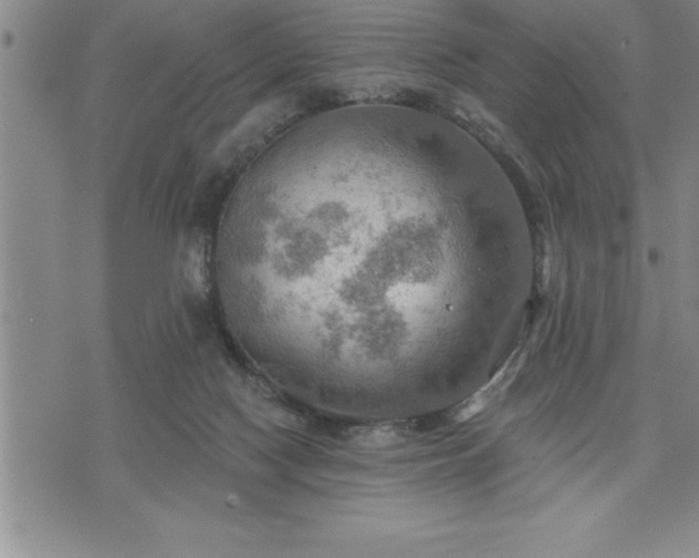 X0000075830074200609221650