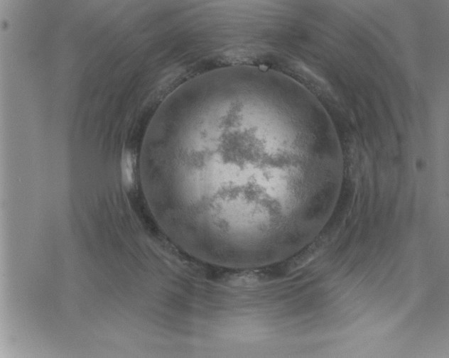 X0000075830075200609221650