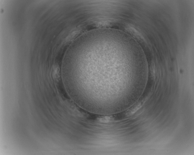 X0000075830079200609221650