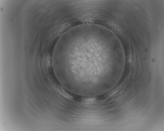 X0000075830081200609221650