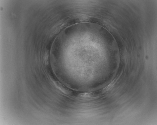 X0000075830082200609221650