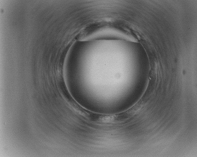 X0000075830084200609221650