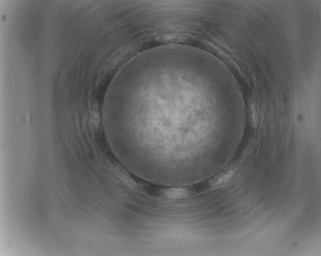 X0000075830085200609221650