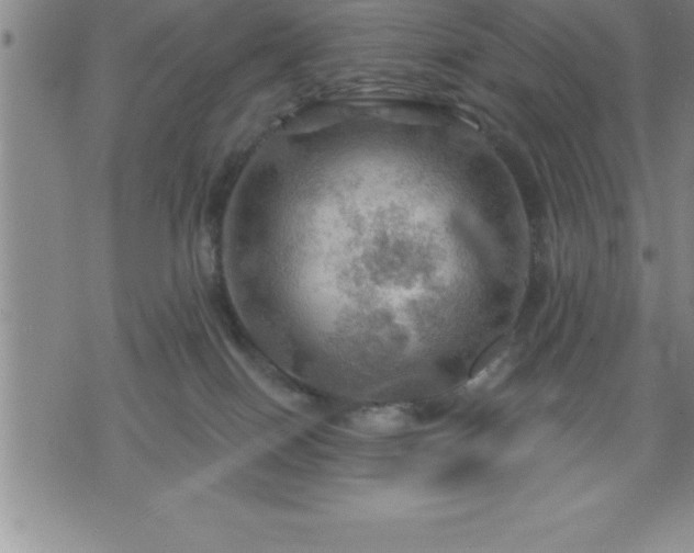 X0000075830086200609221650