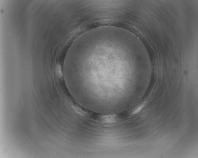 X0000075830089200609221651