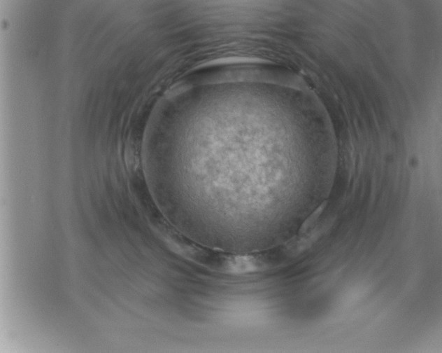 X0000075830091200609221651