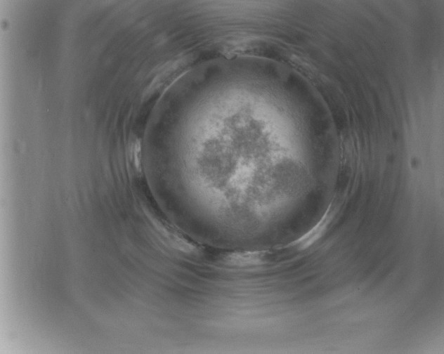 X0000075830094200609221651