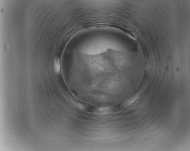 X0000075830095200609221651