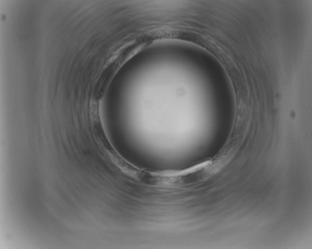 X0000075830096200609221651