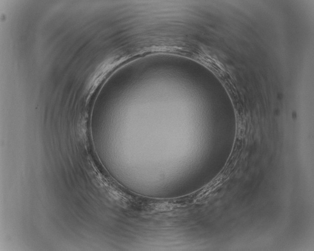 X0000075830098200609221650