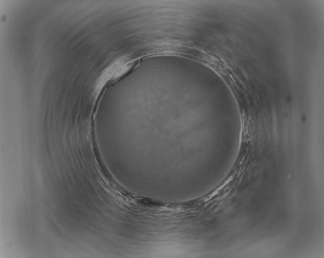 X0000075830099200609221650